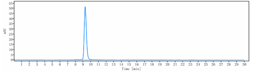 WB - Anti-ACVRL1 / ALK-1 Reference Antibody (ascrinvacumab) APR10390